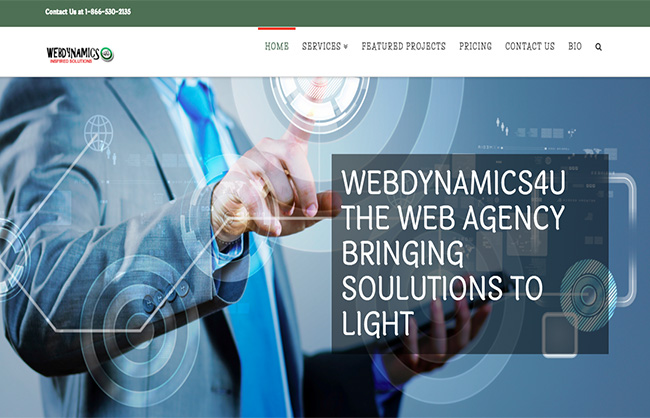 Webdynamics4u Website